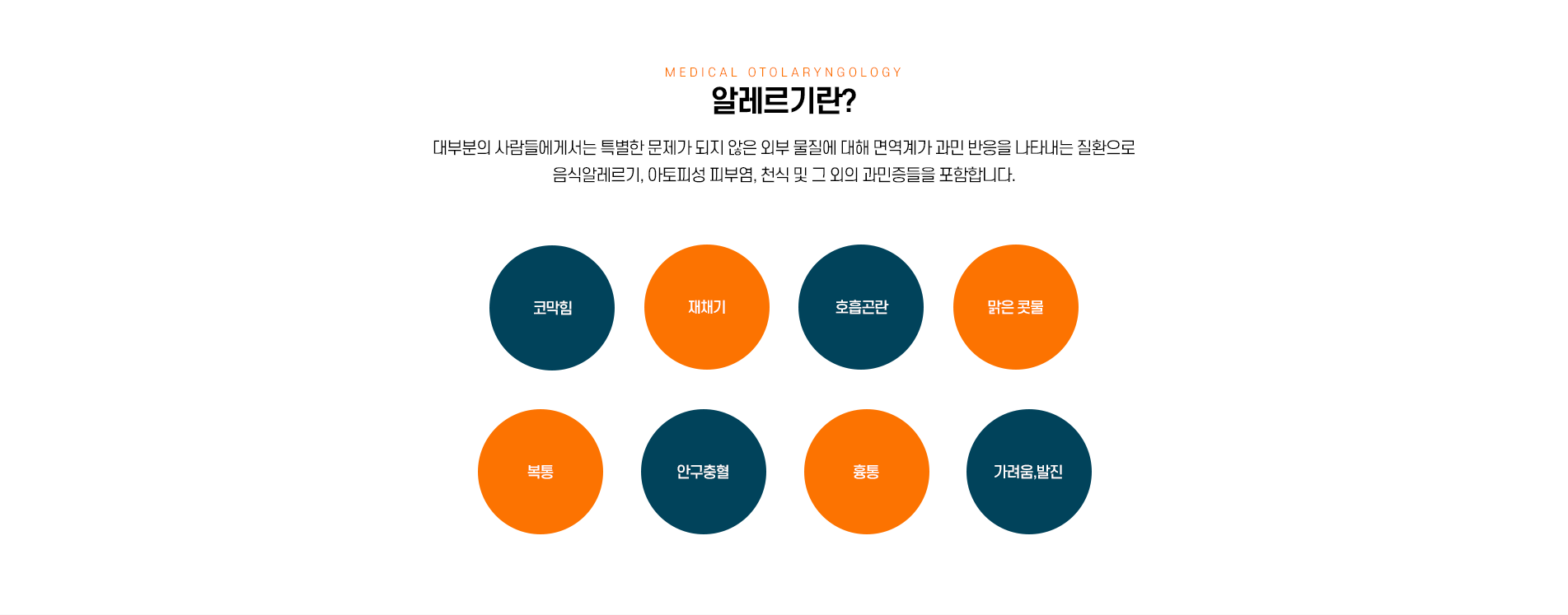 알레르기검사란? 증상