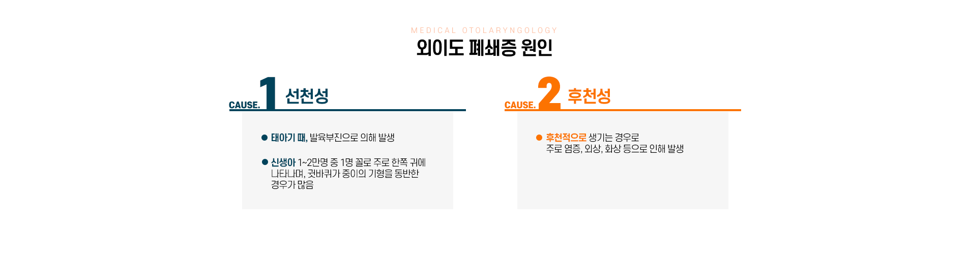 외이도폐쇄증 원인