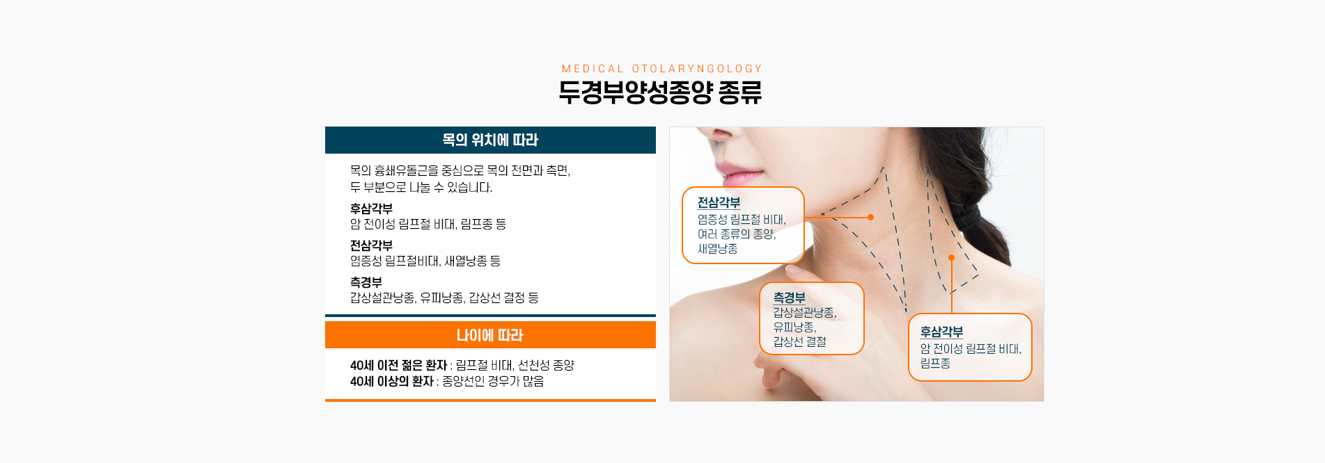 두경부양성종양 종류