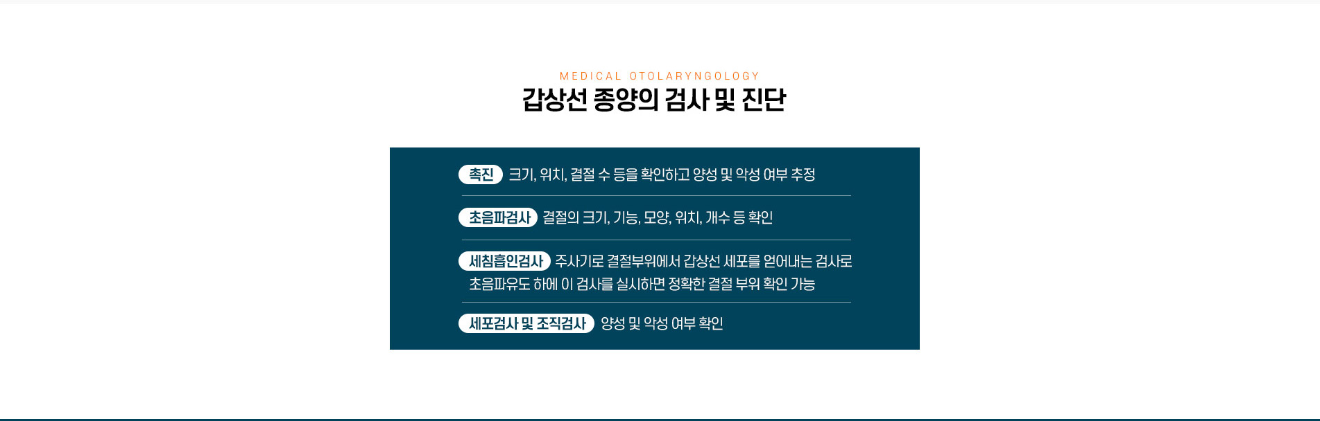 갑상선종양 검사 및 진단