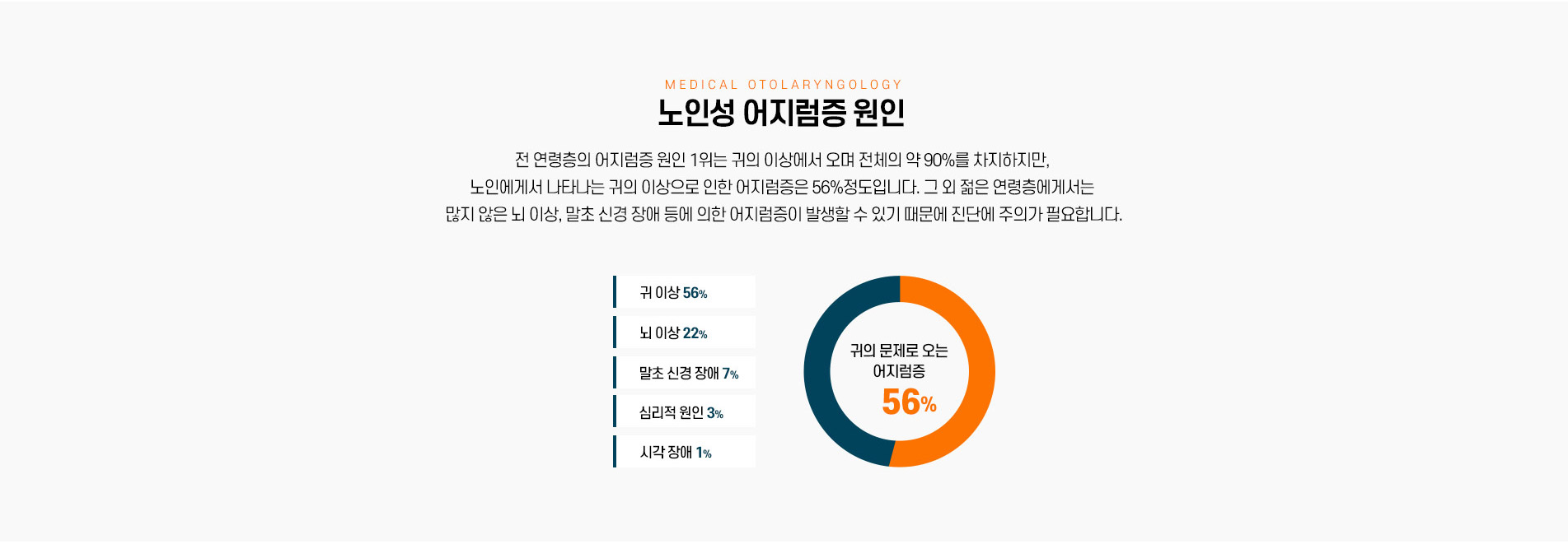 노인성 어지럼증 원인